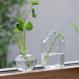 Home Planters Clear Glass Flower Vase Plant Stand Vase Flower Pot Hydroponic Container Garden and Home Decor Aesthetic Room