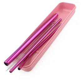 Drinking Straws 5pcs Packing Pink Colourful Stainless Steel Metal Straw Reusable Bent With Box Cleaner Brush For Mugs 12mm 215MM