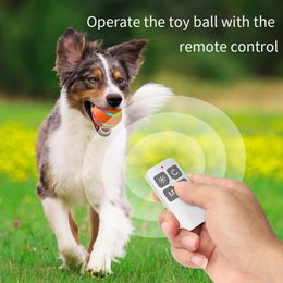 Remote Control Bite Resistant LED Lights Pet Toy Interactive Dog Rolling Ball Funny Electric Automatic Rotating Ball for Puppy