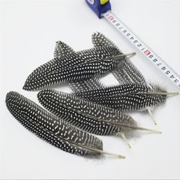 10Pcs Pearl Chicken Spotted Feathers Decor for Clothesr Hair Jewellery Centerpiecedecorations Plumes Handicraft Accessories15-20cm