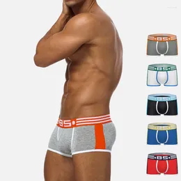 Underpants Men Underwear Cotton Male Boxer Shorts Penis Pouch Calzoncillos Hombre Algodon Homewear Panties Cueca Tanga 2XL
