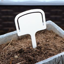 White T-type Thickened 1.4mm Plant Labels PP Material Tag Plastic Waterproof Anti-UV Nursery Seedling Tray Marker Identification