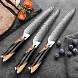 Damascus Steak Knife Set 2-6Pcs 67Layer Japanese VG10 Steel Razor Sharp Serrated Blades Black Resin&Natural Wood Pattern Handles