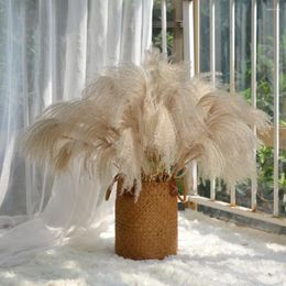 Decorative Flowers 20PCS Natural Dried Flower Real Pampas Grass Bouquet Wedding Party Autumn Decoration Fluffy Artificial Plants Boho Home