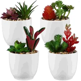 Decorative Flowers Simulated Succulent Artificial Succulents Pots Ceramic Fake Green Plants Home Decoration Realistic Basin Office