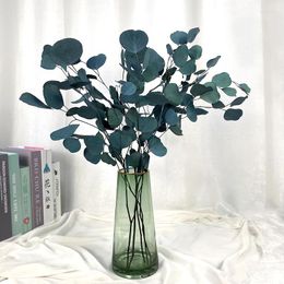 Decorative Flowers Eternal Display Dry Flower Apple Natural Preserved Eucalyptus Leaves Bouquet Wedding Party Decoration Pography Porps