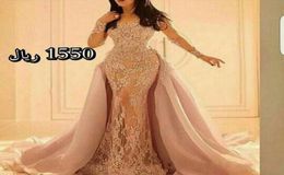 2020 New Long Sleeved Lace Evening Dresses with Organza Over Skirt Mermaid Illusion Slit Skirt and Sheer Full Sleeves 2329698745