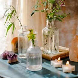 Small Transparent Flower Vase Mini Glass Vase Hydroponic Plant Bud Vase Nordic Home Decor Living Room Table Terrarium Decoration