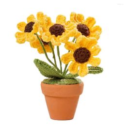 Decorative Flowers Experience The Joy Of Nature With This Handwoven Small Daisy Potted Table Decoration Made To Bring A Sense Serenity