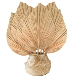 Decorative Flowers Natural Dried Palm Leaves Boho Decor Heart Fans Decoration For Holidays Weddings Party Kitchen