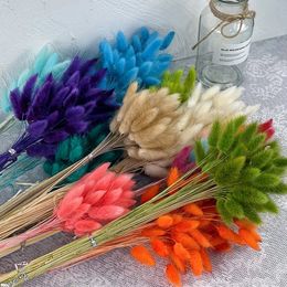 50PCS Bunny Rabbit Tail Grass Natural Dried Flowers Bouquet Wedding Christmas Decoration Lagurus Pampas Home Decor Po Props 240409