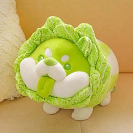 Cute Vegetable Fairy Plush Toys Japanese Cabbage Dog Fluffy Soft Shiba Inu Pillow Stuffed Animals Doll for Kids Baby Girls Gifts 240411