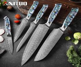 Damascus Steel knife Set Kitchen Chef Knife Japanese Steel VG10 Super sharp Santoku Knives Boning knife Exquisite Shell Handle New1177056