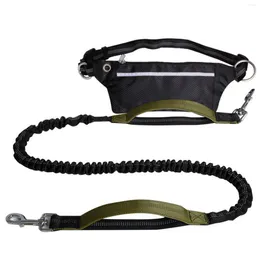 Dog Collars Leash With Waist Bag Reflective Jogging Dogs Traction Rope Extendable Bungee Running Belt-B