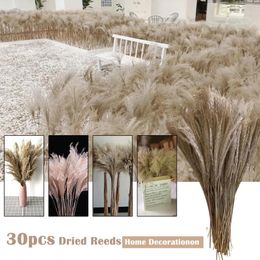 Decorative Flowers Natural Dried Brown Bouquet Boho Decoration Home Bedroom Living Room50cm Fashion And Simple Furnishings 2024