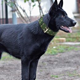 Dog Apparel Durable Tactical Collar Leash Set Adjustable Military Pet Medium Large German Shepherd Training Accessories