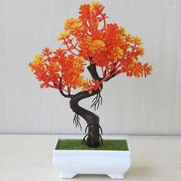 Decorative Flowers Simulated Lucky Plant Potted Indoor Desktop Ornaments Fake Plants Home Room Table Garden El Decoration