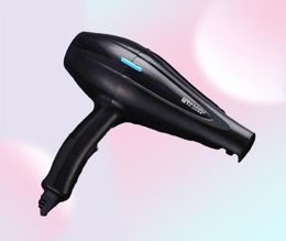 Powerful Professional Salon Hair Dryer Blow Dryer Electric Hairdryer Cold Wind with Air Collecting Nozzle D40 2112246339616