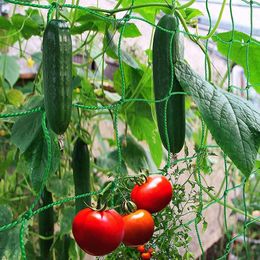 Plant Trellis Netting Pea Netting Green Garden Netting Trellis Net For Bean Fruits Vegetables Climbing Plants 0.9/1.8M*1.8M O8R2