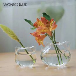 Creative Cat Heart Glass Vase Plant Hydroponic Terrarium Art Plant Hydroponic Table Vase Glass Crafts DIY Aromatherapy Bottle