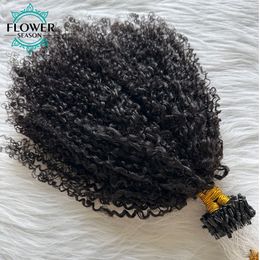 Microlinks Hair Extensions Human Hair Kinky Curly Micro Loop Ring Human Hair Extensions Double Drawn 100Strands For Black Women