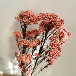 Decorative Flowers 50g Natural Millet Fruit Dried Flower Christmas Decorations For Home 2024 Fall Decor Items With Bridal Bouq