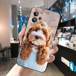 Teddy Dog Phone Case For OPPO Realme 10 Pro Plus GT 2 Pro X2 Pro XT C25S 8 7 6 Pro 6i GT Master C3 C21 C21Y C11 X3 SuperZoom