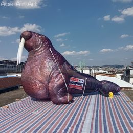 5m L 16.4ft length or Custom Inflatable Decorative Walrus Zoo Advertisement Undersea Animals with Logo For Outdoor Party or Exhibition