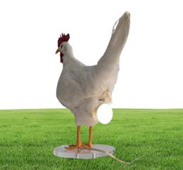 Taxidermy Chicken Lamp Decoration Room Night Lights Simulation Laying Hens Light Animal Chicken Eggs Lamp Party Home Decoration6497005