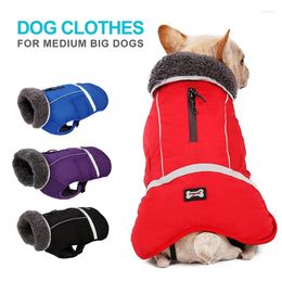 Dog Apparel Big Clothes Winter Warm Thickening Outdoor Cold Proof Pet Cotton-padded Jacket Dogs Vest For Middle Large Clothing