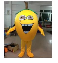 halloween Happy Loquat Mascot Costume Halloween Christmas Fancy Party Cartoon Character Outfit Suit Adult Women Men Dress Carnival Unisex Adults