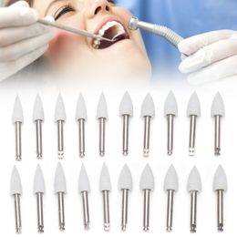 10pcs Dental Polishing Burs Low Speed Dental Grinding Polisher Burs Drill Bits Set Grey Grinding Polisher Burs Dental Drill Bits