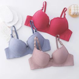 Women Push Up Bra Breathable Underwear Sexy Lace Adjustable Bralette Steel Soft Ring Gather Lingerie BC Cup sostenes de mujer