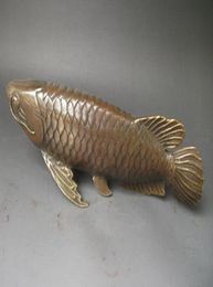 Collection Lifelike Chinese old bronze arowana statue 28x8 CM2939256