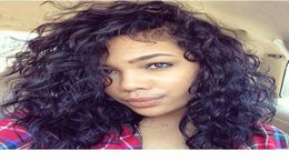 Full Lace Curly Human Hair Wig 1026 inch In Stock Brazilian Hair Full Lace Wig For Women Curly Lace Wig1035352