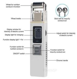 Microcurrent Galvanic Facial Massager Anti Ageing Reduce Wrinkle Skin Tightening Face Lift Firming Machine Home Spa Use 2205201442787