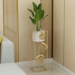 Hooks TV Cabinet Decoration Large Basin Green Radish Iron Opening Golden High-End Display Flower Rack Floor-Standing