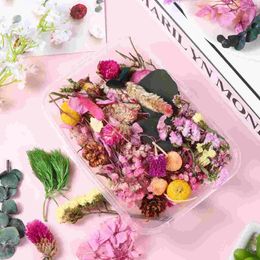 Decorative Flowers 2 Boxes Dried Real Mixed DIY Natural Flower Colourful Material For Resin Jewellery