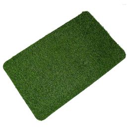 Decorative Flowers Imitated Grass Front Door Mat Home Fake Artificial Turf Floor Pad For Outdoor