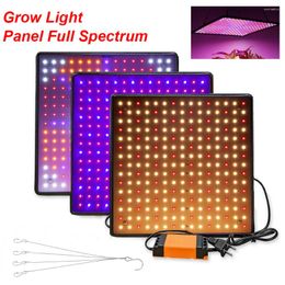 Grow Lights 1000W Light Panel LED Full Spectrum Plants Growth Hanging For Indoor Tent Greenhouse