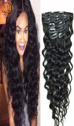 Human Hair Clip in Deep Curly Hair Extensions Deep Wave Malaysian Clip in Human Hair Extension Natural Black Clip in7393779