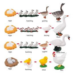 OozDec 16PCS Life Cycle of Goose White Swan Chicken Duck Farm Animals Figures, Plastic Growth Cycle Eggs Figurines Toy Kit