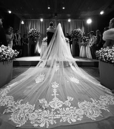 New Arrival 4M Wedding Veils With Lace Applique Cut Edge Long Cathedral Length Veils One Layer Tulle Custom Made Bridal Veil With 6286367