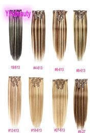 Malaysian 100 Human Hair Straight 1B613 4613 6613 27613 Clips In Hair Extensions 1424inch Clipon Hair Products Piano Colo8221242