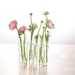 Clear Glass Vase Tubes Set Hanging Flower Holder Plant Container Flower Vases for Homes Room Decor