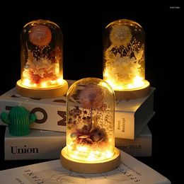 Decorative Flowers Preserved Dandelion Flower In Glass Dome LED Light Up Eternal Gift For Girlfriend Wife Valentines Day Table Decoration