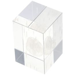 Clear 3D Human Brain Portable Crystal Glass Cube Neurology Gifts Home&Office Decoration