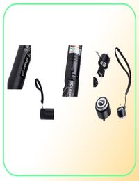 Laser 303 Long Distance Green SD 303 Laser Pointer Powerful Hunting Laser Pen Bore Sighter 18650 BatteryCharger7608130