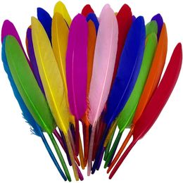 300Pcs Duck Coloured Feathers Creative Leisure Plumes For Needlework Hat Fly Tying Materials Crafts Decor DIY Wedding Accessories
