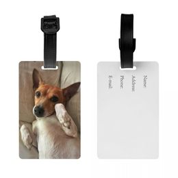 Funny Jack Russell Terrier Meme Luggage Tags for Suitcases Funny Dog Lover Baggage Tags Privacy Cover ID Label